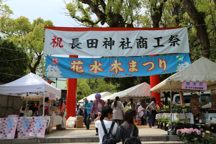 花水木まつり写真