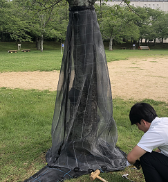 ネット巻き（明石市内）