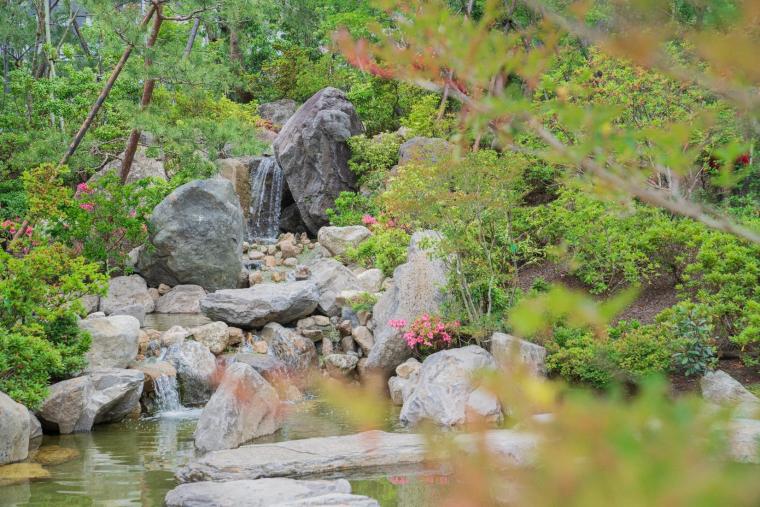 磯上公園ヒーリングガーデン水景池