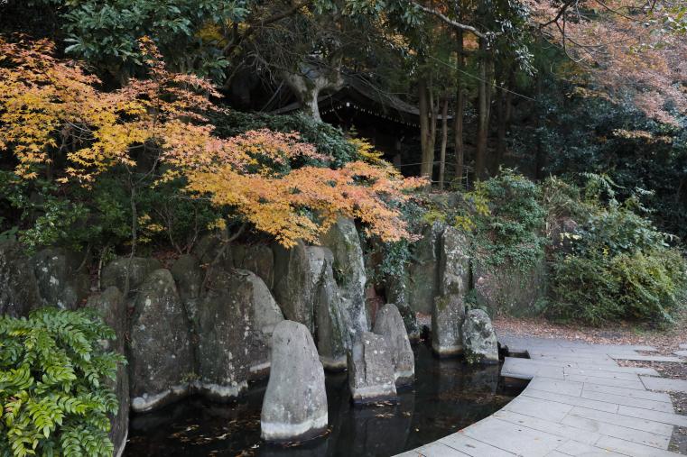 炭酸泉源の画像2