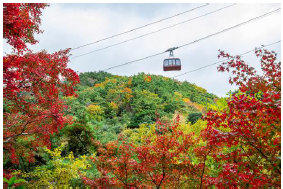 ropeway_shashin