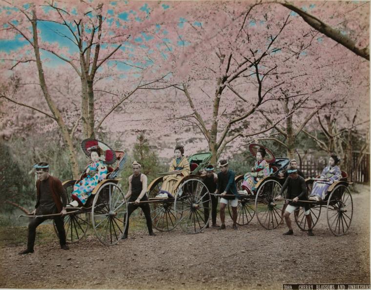 2069「CHERRY BLOSSOMS AND JINRIKISHAS」日下部金兵衛 明治時代中期～後期 東京都写真美術館蔵