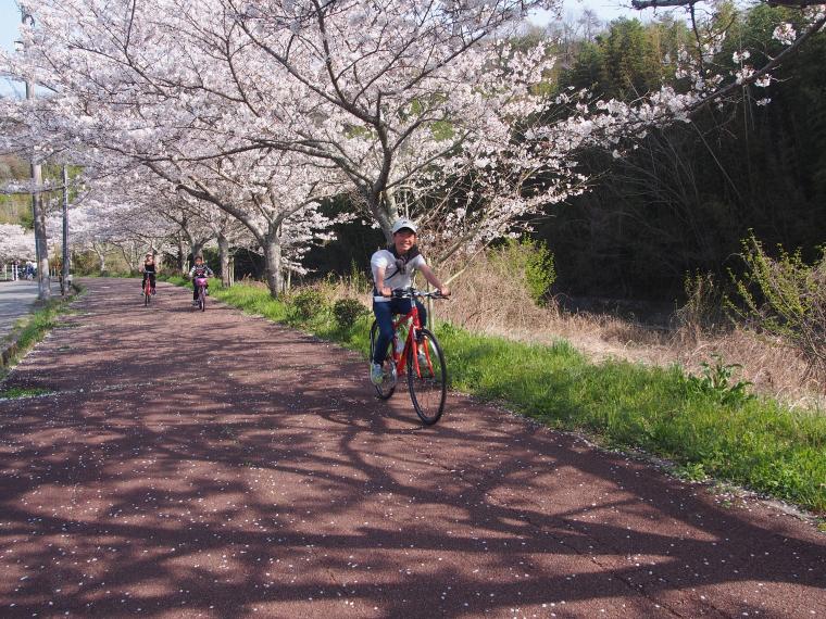 sakura