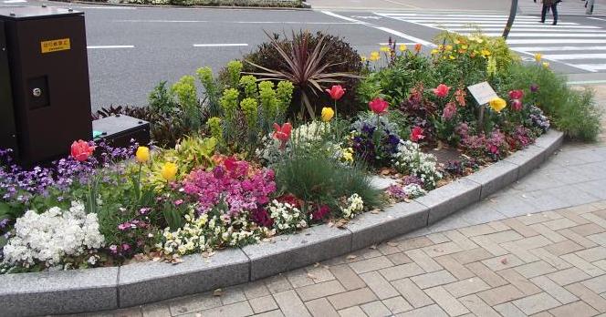 ブリッジメンテナンス株式会社の花壇写真