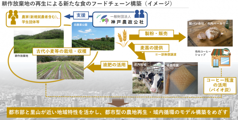 フードチェーンイメージ図