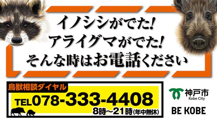 神戸市鳥獣相談ダイヤル（078-333-4408）までご相談ください。