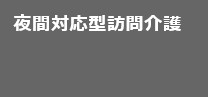 夜間対応型訪問介護